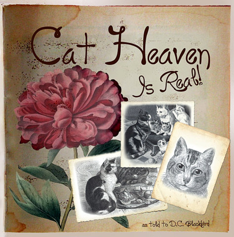 cat heaven is real-d.c.blackbird-book