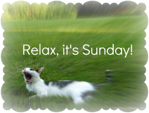 odin-cat-garden-yawn-quote-relax-sunday