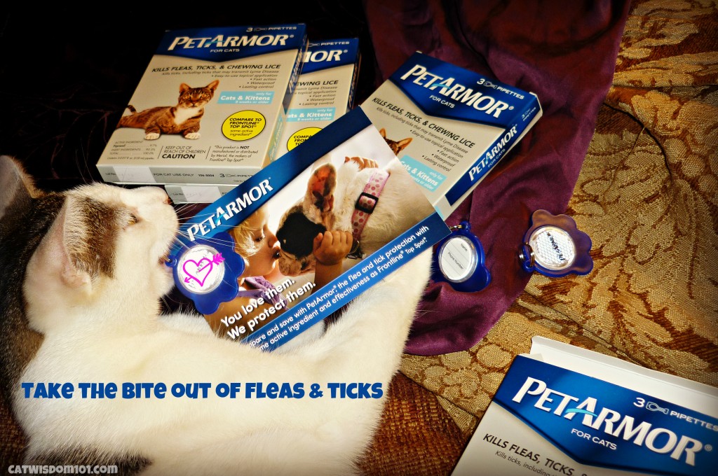petarmor-flea-tick-giveaway-cats-dogs