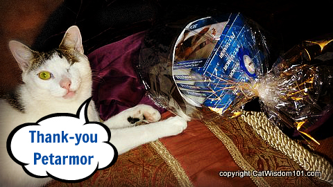 petarmor-gift-basket-giveaway-cat-wisdom 101