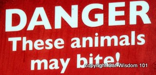 qm2-pets-danger-sign-kennel