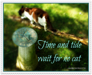 time-quote-summer-solstice-cat-sundial