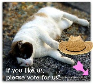 vote-petties-cat wisdom 101-domino
