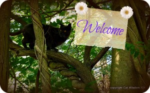 welcome-cat-trees-art-sign