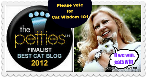 Layla Morgan Wilde-Pettie-awards-best-cat-blog