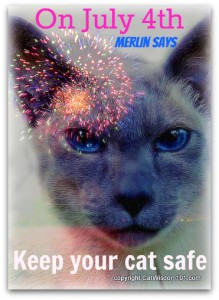 4th july-cats-fireworks-merlin-safety