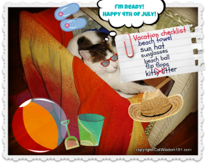 beach-towel-cat-LOL-vacation-July 4th