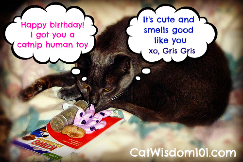 birthday-gris gris-catnip