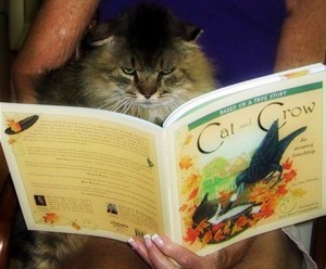 cat and crow-reading-book-cute