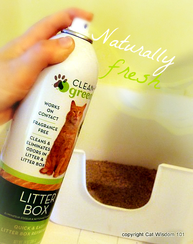 clean + green -Litter Box-giveaway-review