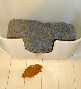 clean + green-vomit-cat-litter-floor