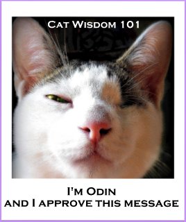 World-ruler-contest-LOL cats-cat-Odin
