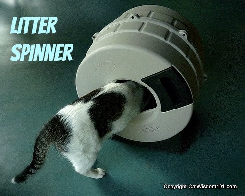 litter-spinner-cat-litter-review-giveaway