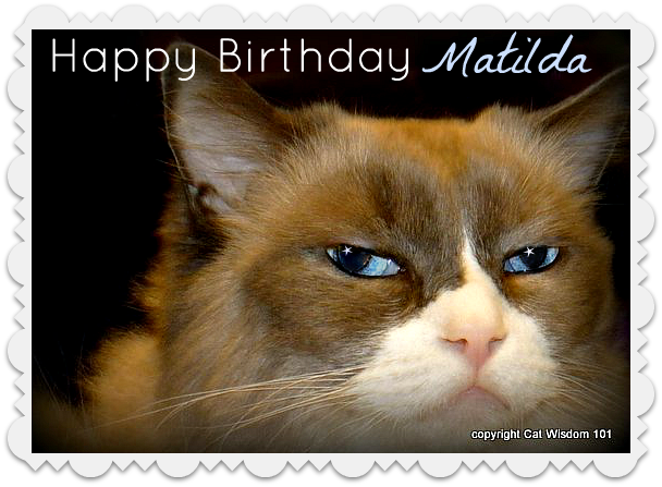 matilda-cat-birthday-algonquin-hotel-nyc-2012