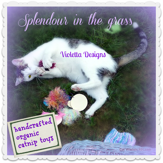 odin-catnip-toy-giveaway-cat-violetta designs