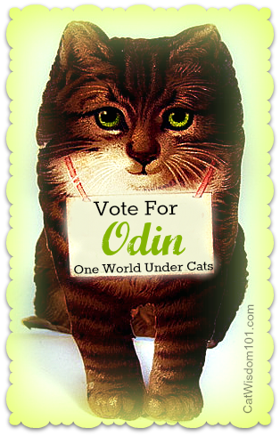 vintage-victorian-cat-vote-odin-contest