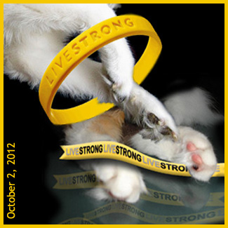 LIVESTRONG 10.2.2012.2012-pets-cats-dogs