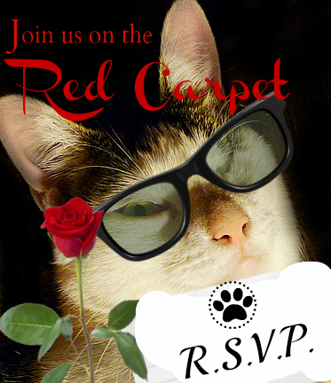Odin-cat-red carpet-twitter-party-cat wisdom 101