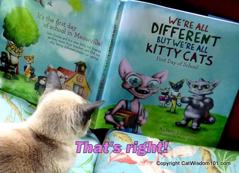 cat-book-we're all different but we're all kitty cats-first day of school-review-giveaway