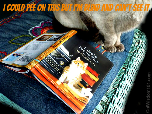 I Could Pee On This-cat-humor-book