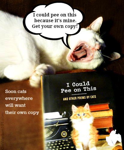 I could pee on this-poems by cats-book-review-giveaway