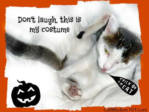 Odin-funny-cat-tongue-quote-halloween