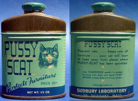 antique-cat-med-sudbury laboratory