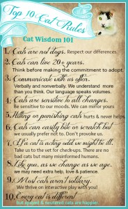 top 10-cat-rules-happier-cats