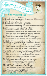 top 10-cat-rules-happier-cats