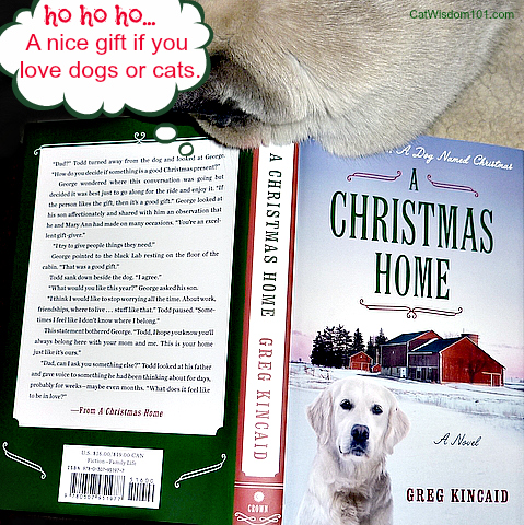 a christmas home-greg kincaid-book-review-giveaway