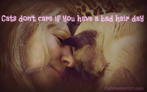 cat lover siamese cat quote-bad hair day