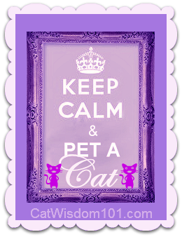 keep-calm-pet-cat-art-quote