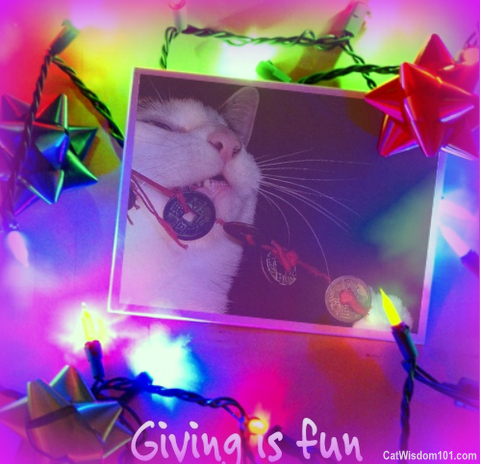christmas-cat-gift-giveaway