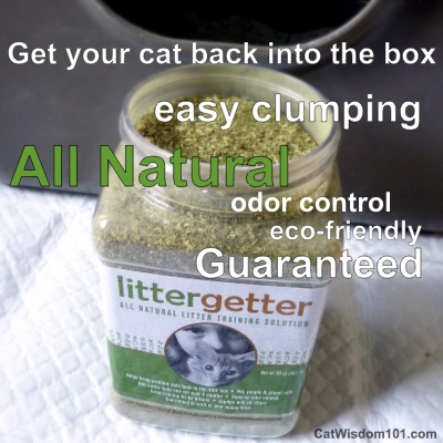 litter getter-review-giveaway-cats-attractant