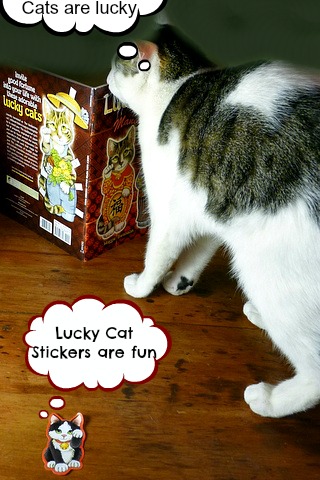 lucky cats-book-cats-maggie swanson