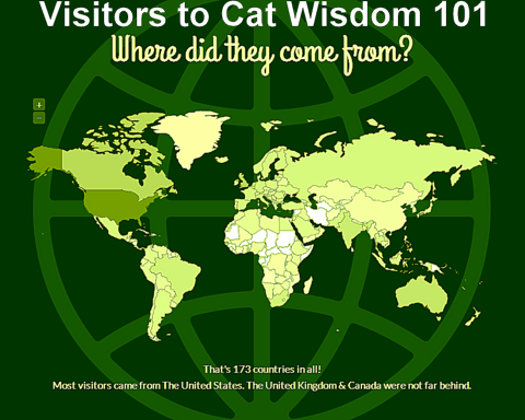 Cat Wisdom 101-visitors-global-traffic cat-lovers