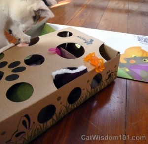 catamazing-cat-toys