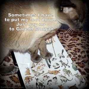 cats-say no-gareth-morgan