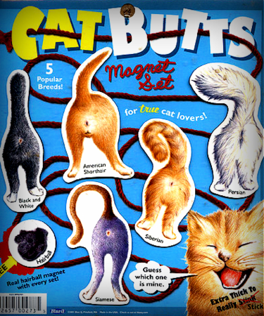 cat-butts-funny