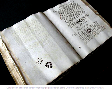 cat-paw-prints-medieval-manuscript
