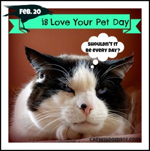 Love Your Pet Day Cats Humor 298x300 