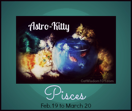 Astro-Kitty-astrology-cats-Pisces-fish