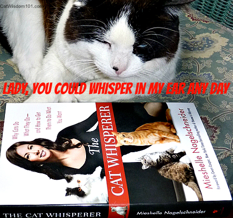 Cat Whisperer-ccats-cat behaviorist-book-quote