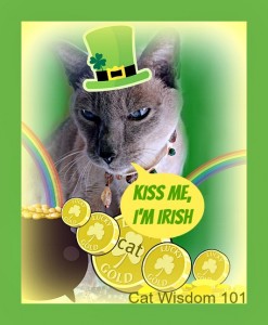 St. Patricks Day-cat-lucky-kiss me I'm Irish