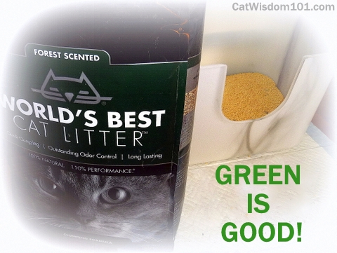 WBCL-cat litter-forest scent-giveaway