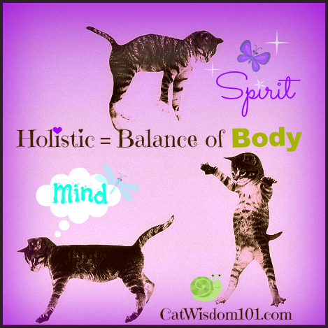 holistic-cats-body-mind-spirt-behaviorist