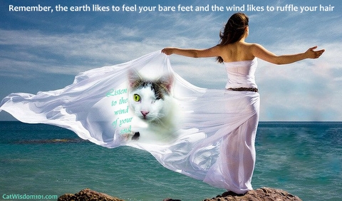 wind-quote-soul-spiritual-freedom-nature-cats | Cat Wisdom 101