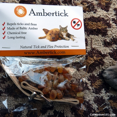 ambertick-flea-tick-protection-pets-natural