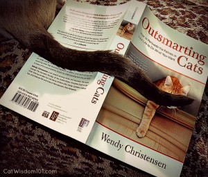 cat-book-outsmarting cats-wendy christensen-review-book giveaway