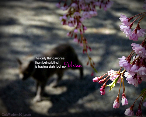 cat-quote-blossoms-vision-art